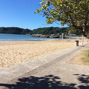 Beija-flôr Itajaí
